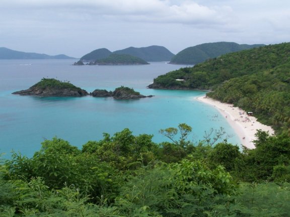 st john header.jpg